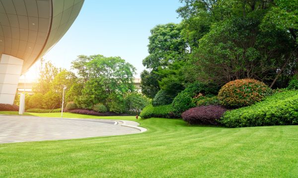 Business Landscape Design in Doylestown
