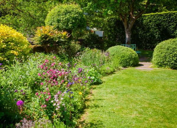 Yard Landscaping Service in Doylestown
