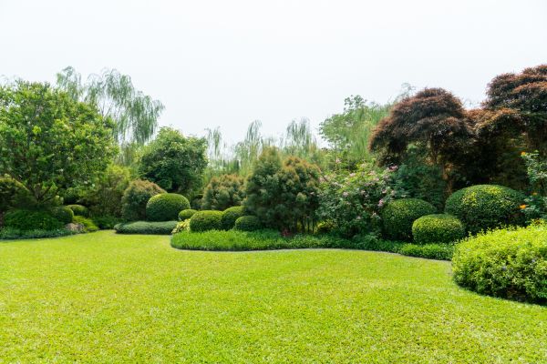 Tree Landscaping in Doylestown