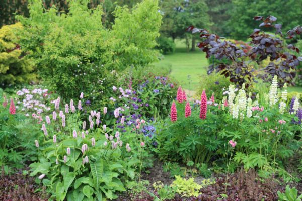 Flower Bed Planting in Doylestown