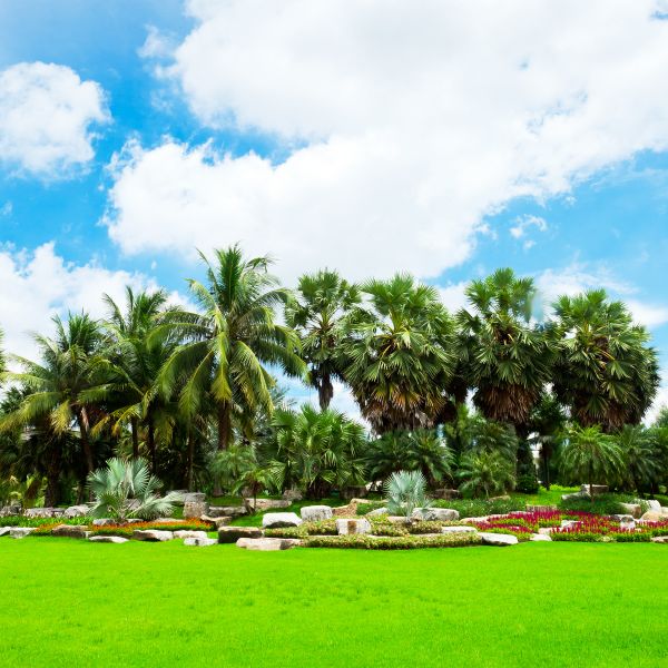 Tropical Landscaping in Doylestown