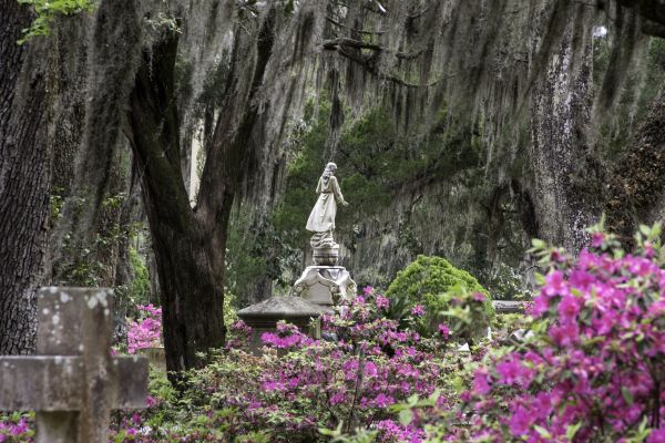 Cemetery Landscaping in Doylestown