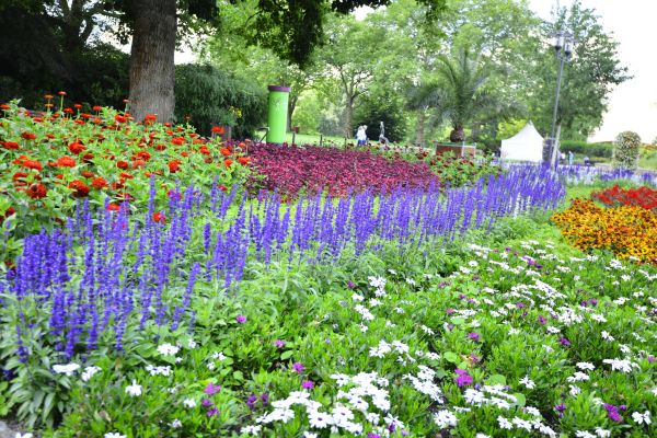 Perennials Planting in Doylestown