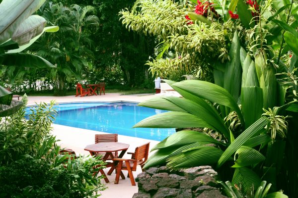 Pool Area Landscaping in Doylestown