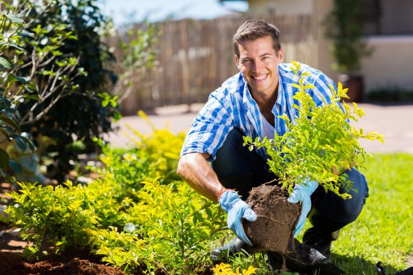 Shrub Landscaping in Doylestown