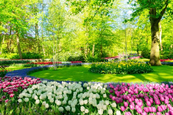 Flower Landscaping in Doylestown