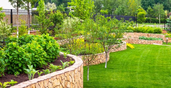 Yard Makeover Service in Doylestown