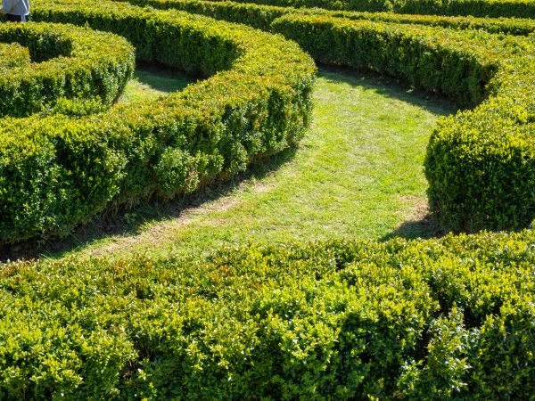 Bush Landscaping in Doylestown