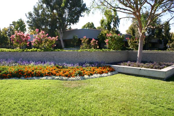 Commercial Landscape Service in Doylestown
