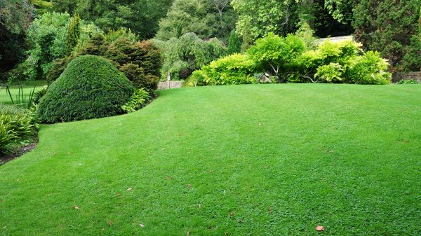 Commercial Landscape Design in Doylestown