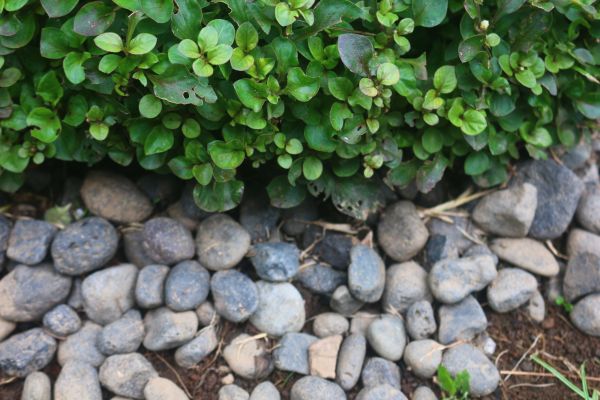 River Stone Installation in Doylestown