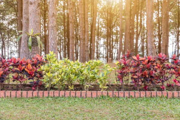 Small Garden Landscaping in Doylestown