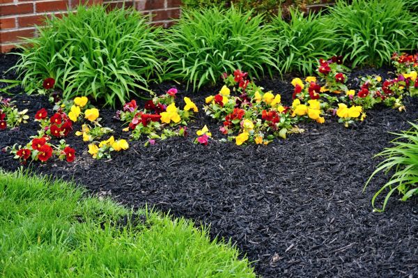 Apartment Mulching in Doylestown